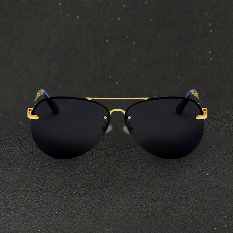 Alden Polarized Aviator Sunglasses